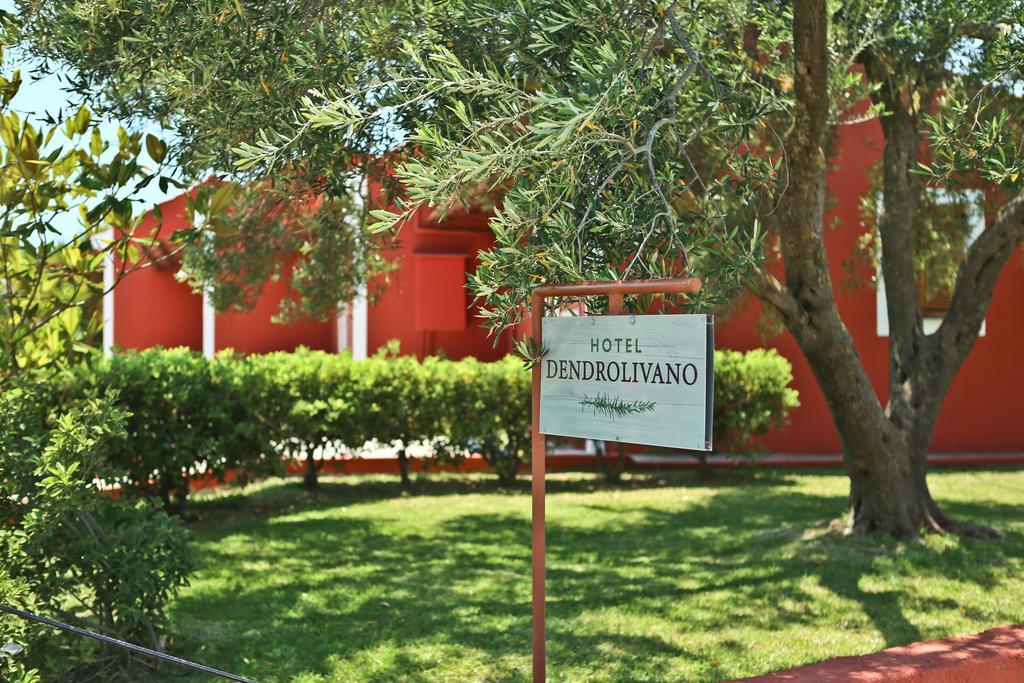 Dendrolivano Minia Exterior foto